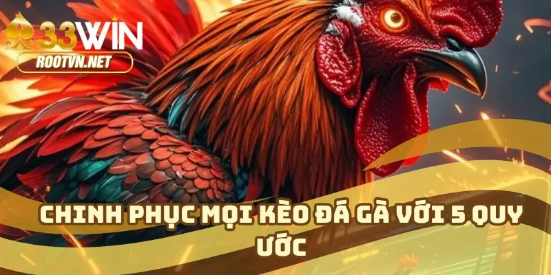 Chinh phục mọi kèo đá gà với 5 quy ước