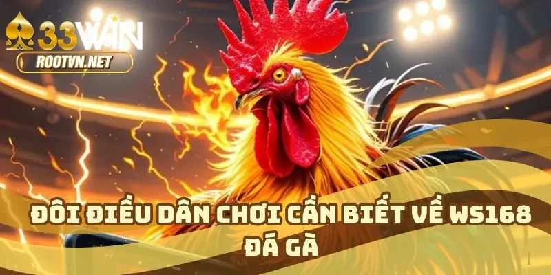 Đôi điều dân chơi cần biết về WS168 đá gà
